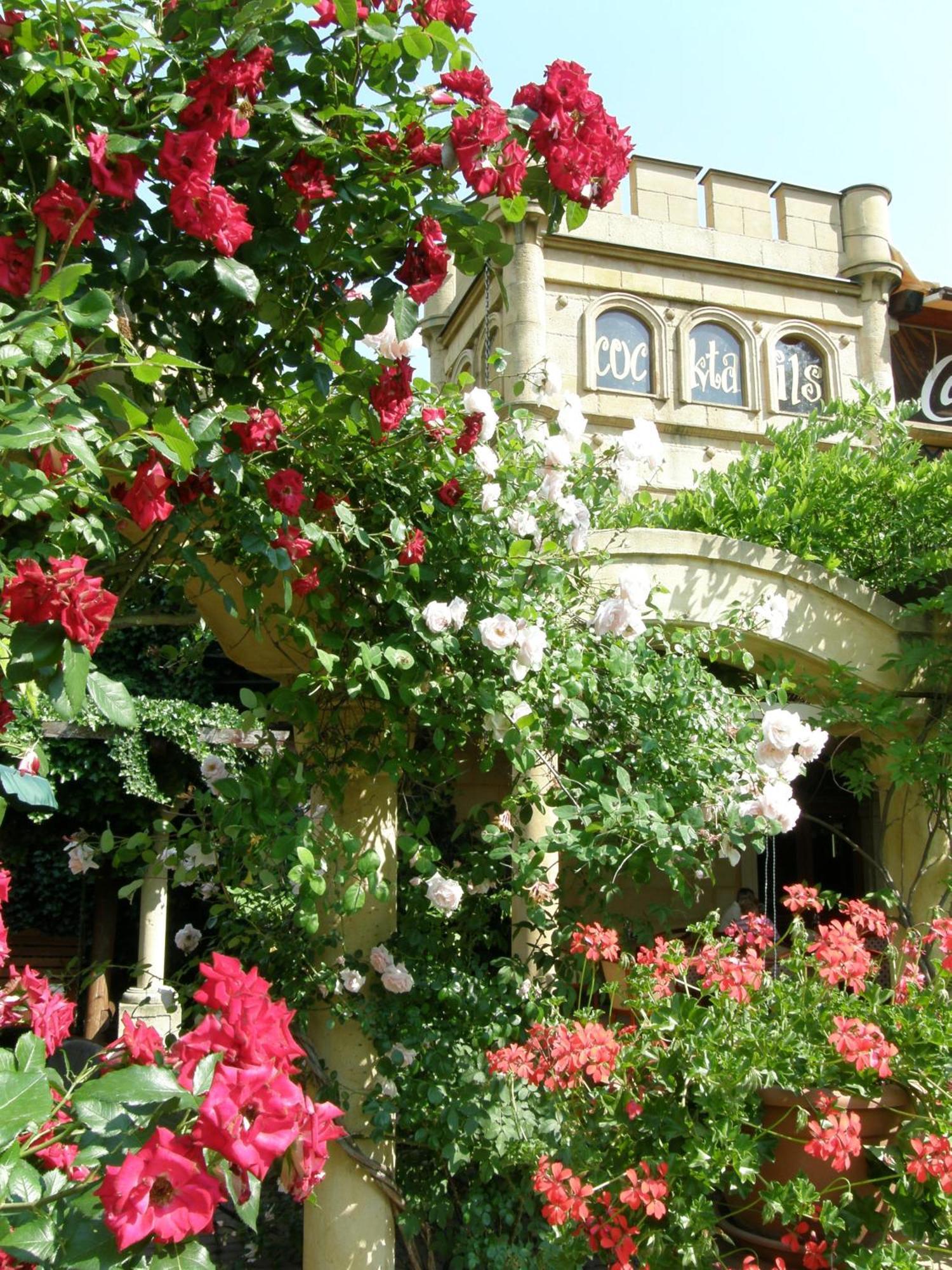 Hotel Bow Garden Komárno Extérieur photo
